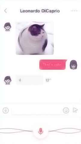 doss网站攻击软件程序维护界面